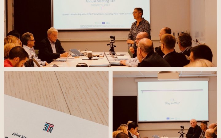 3TR Coordinator Marta E. Alarcon-Riquelme (FPS) aligns the work package leaders during the preparatory Joint Steering Committee meeting.