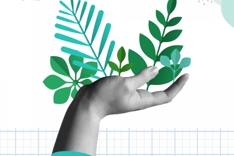 Broadening Impact Beyond Market Success