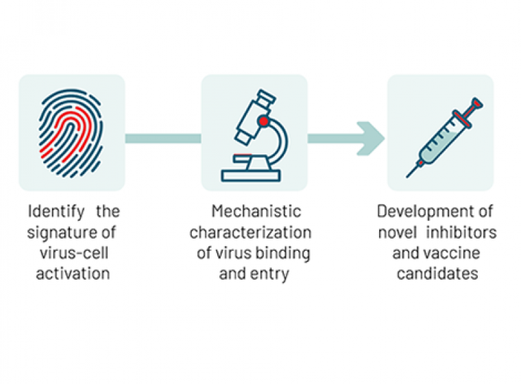 The COMBINE approach: Identify – Characterise – Inhibit