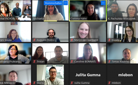 Getting Ready for 2023: Yscript Consortium Meets Online