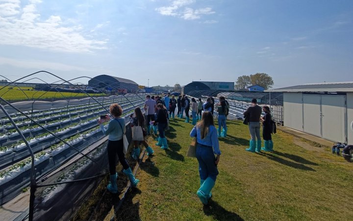 Visit of the experimental fields in Ferrara