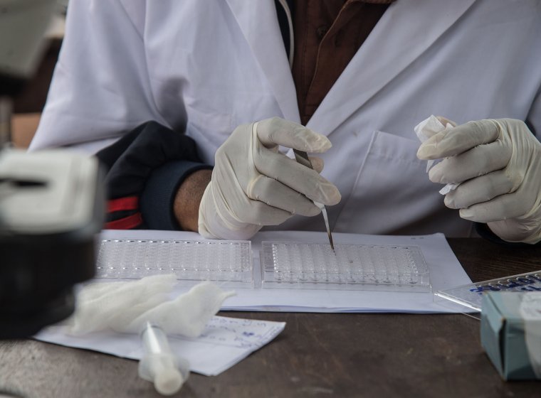 Breaking the Cycle of Neglect in Worm Infections