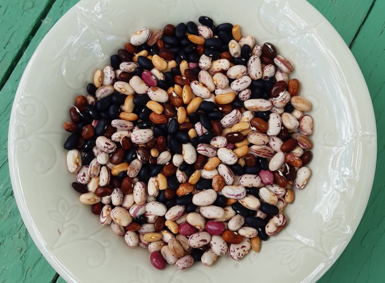 Preserving Legume Agrobiodiversity