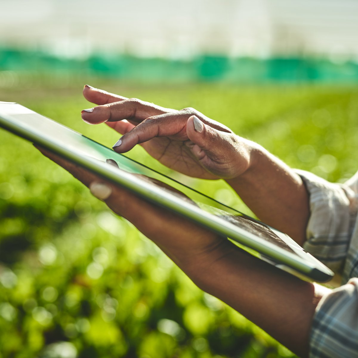 Just Transition to a Green and Digital Future for All