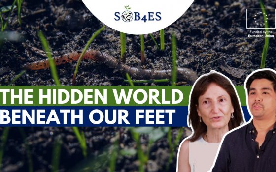 Understanding Soil Biodiversity and Making It Visible to Society: SOB4ES Releases Project Video