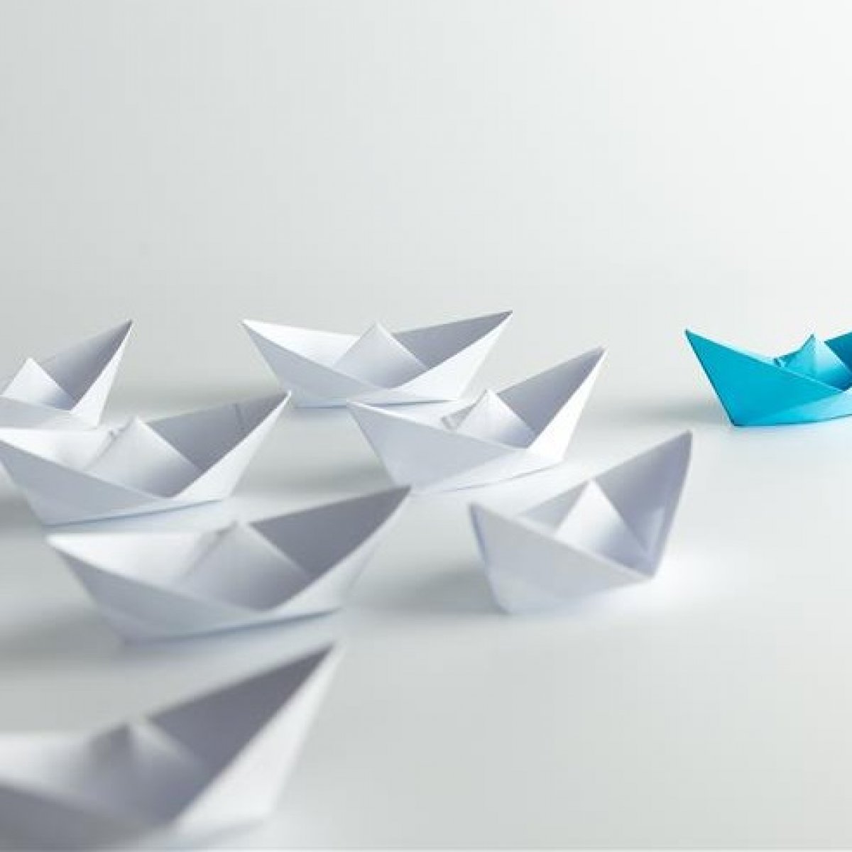 Supporting Collaborative Intellectual Property Management