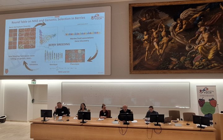 The BreedingValue final workshop