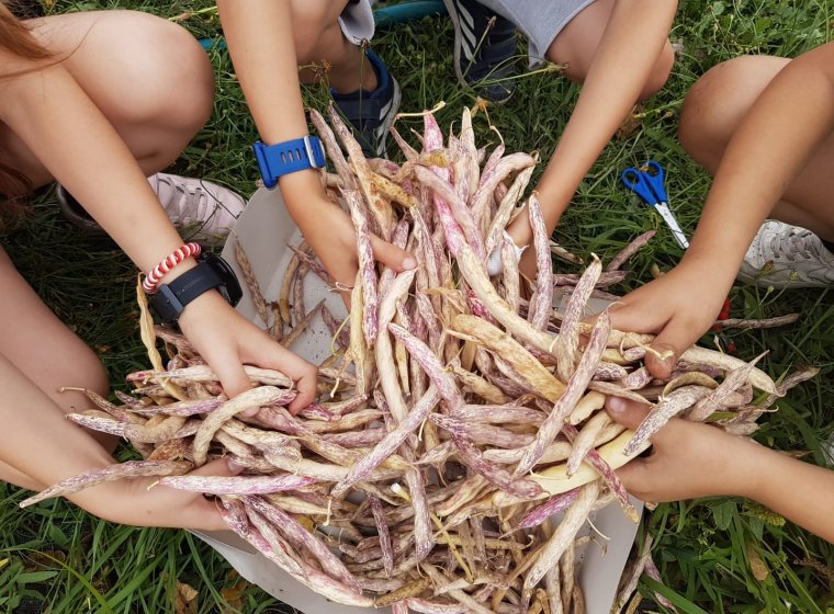Citizen Participation and Shared Responsibility for Biodiversity 