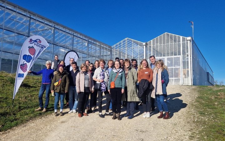 Field demonstration visit to BreedingValue partner INVENIO on the 13th February 2024.