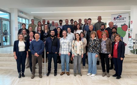 Shaping Sustainable Berry Production Across Europe – the BreedingValue Project is Coming to an End
