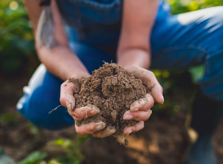 From Understanding to Action