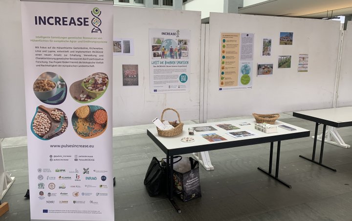 The INCREASE display at the seed exchange