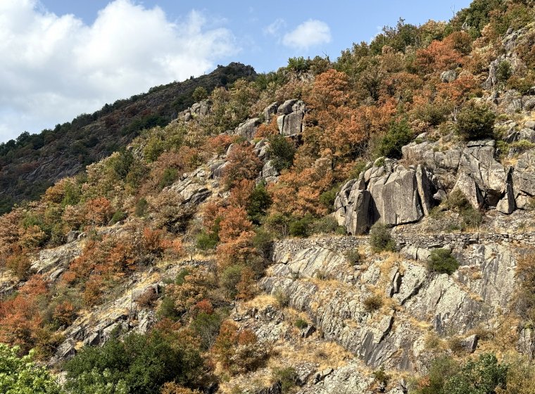 Living Labs to Combat Desertification 