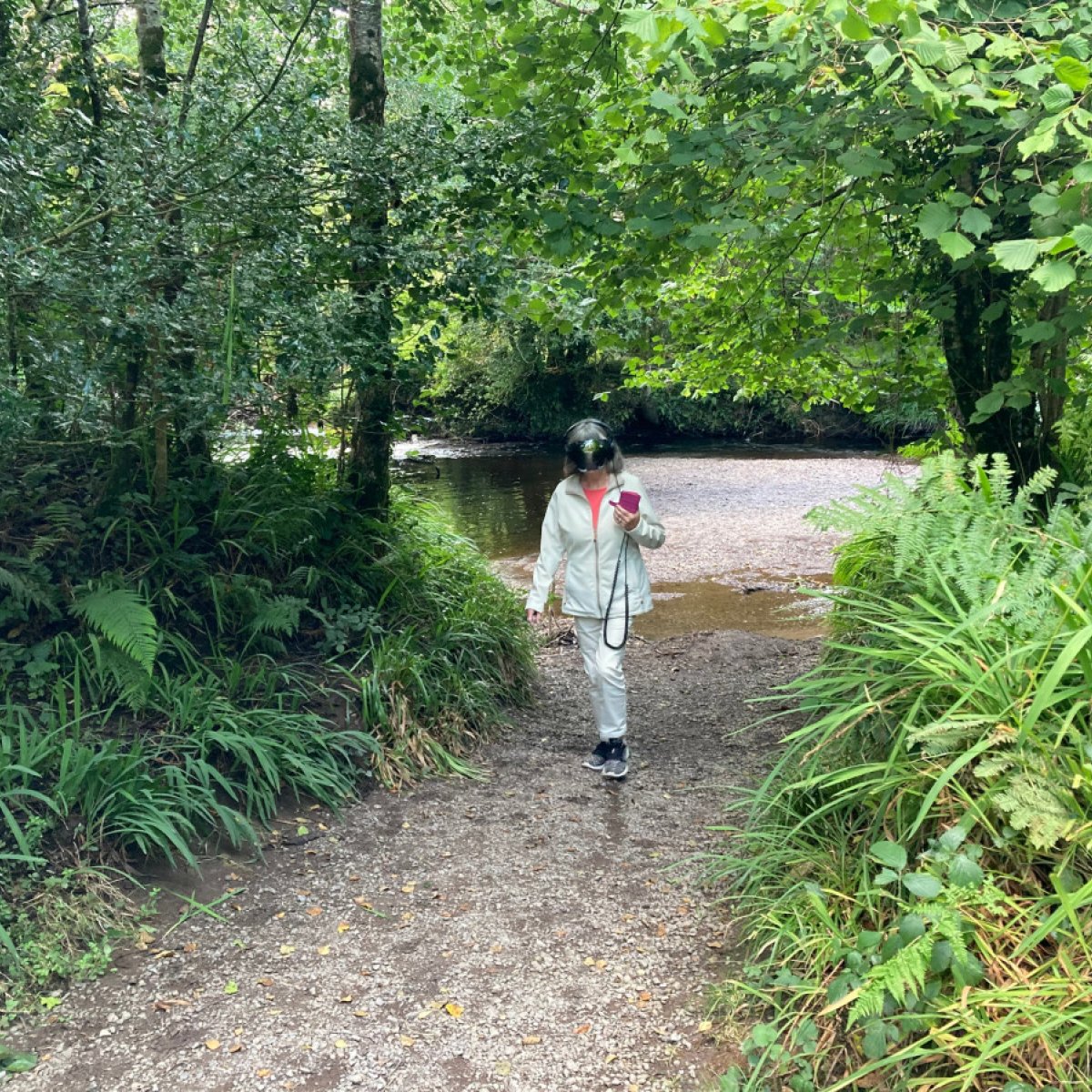 Encouraging Environmental Sustainability Through Art and Citizen Engagement