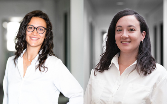 From Fellows to Leaders: Cultivating Scientific Careers Through the MSCA Doctoral Networks