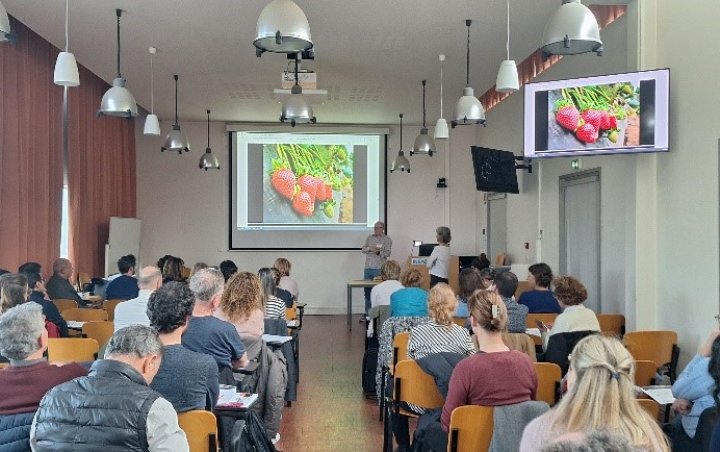 Presentation of Steven J. Knapp of the University of California, Davis (USA) at the BreedingValue Workshop