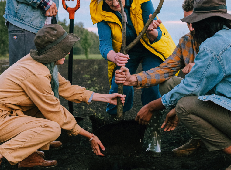 Why Soil Health Needs Collaboration