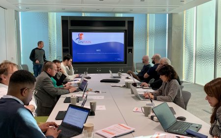 SINPAIN Meeting in Wintry Liverpool: Successful 1st Progress Meeting before Christmas
