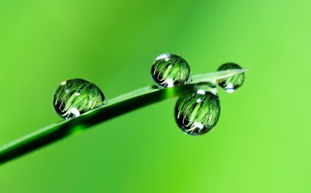 Important Milestone: Cross-Border Hydrogen Project in the Saar Region Passes First Selection Round