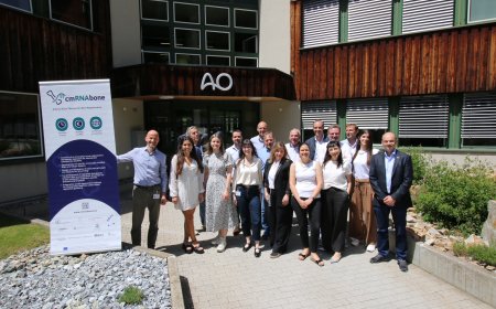 cmRNAbone Project's Success Sets Stage for Innovative Bone Regeneration Therapies
