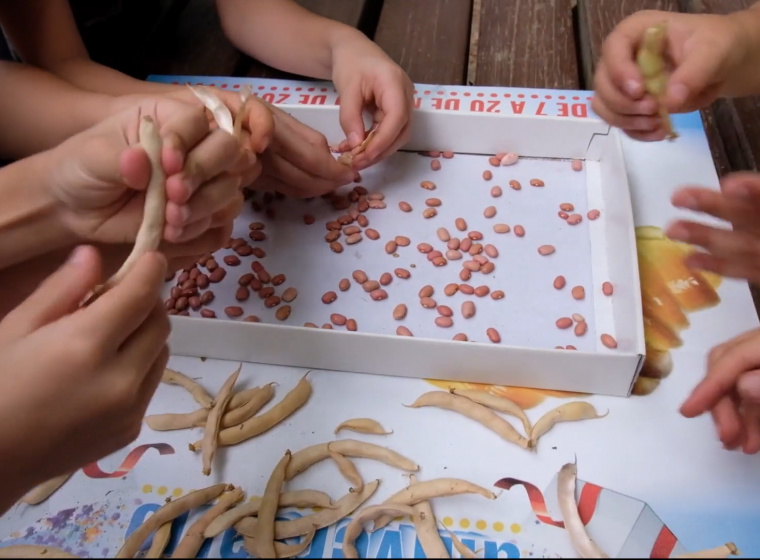 Cutting-edge Approaches for Agrobiodiversity Preservation