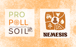 New EU Mission Soil Projects Tackle Pollinators and Desertification