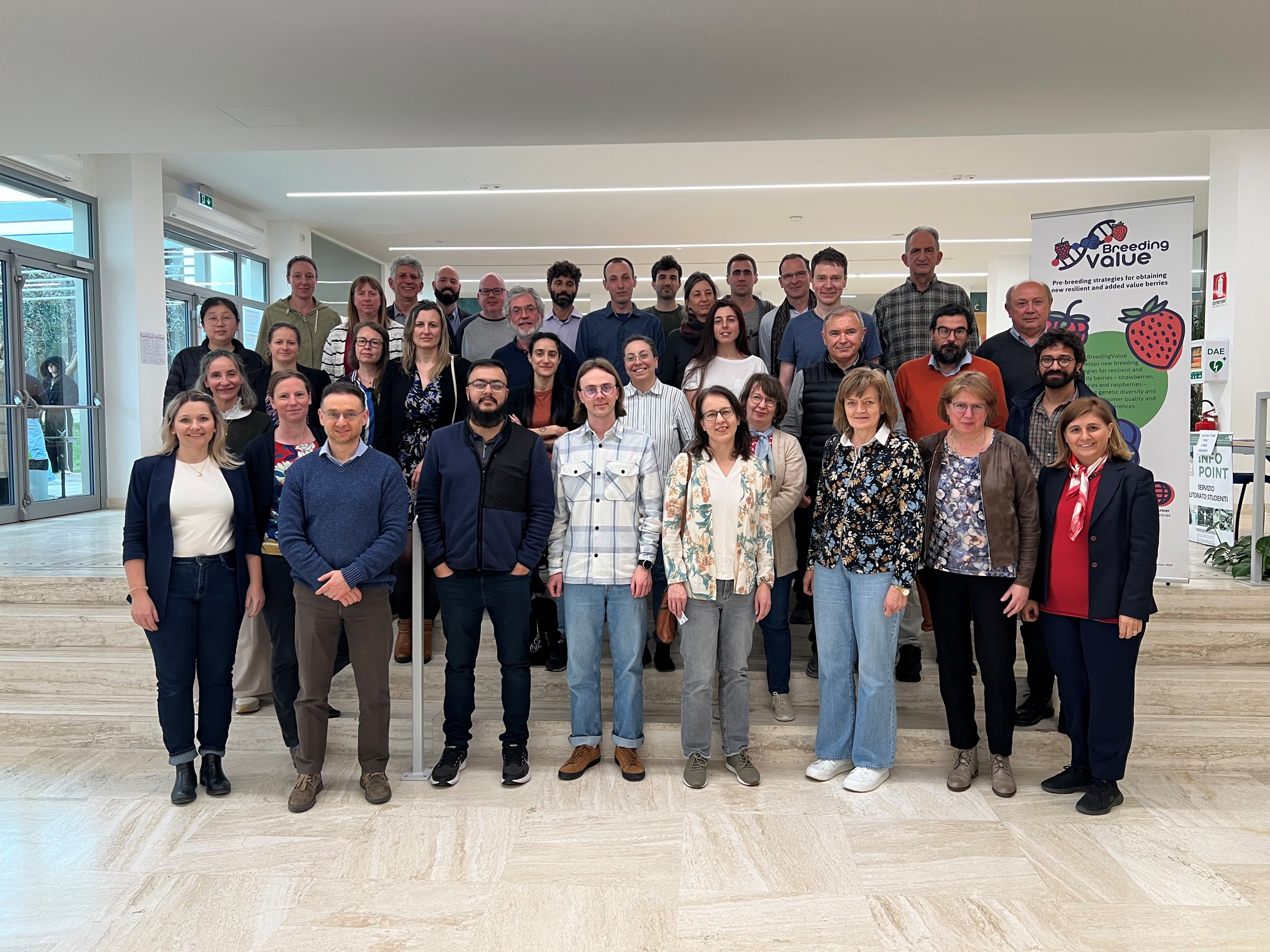 Shaping Sustainable Berry Production Across Europe – the BreedingValue Project is Coming to an End