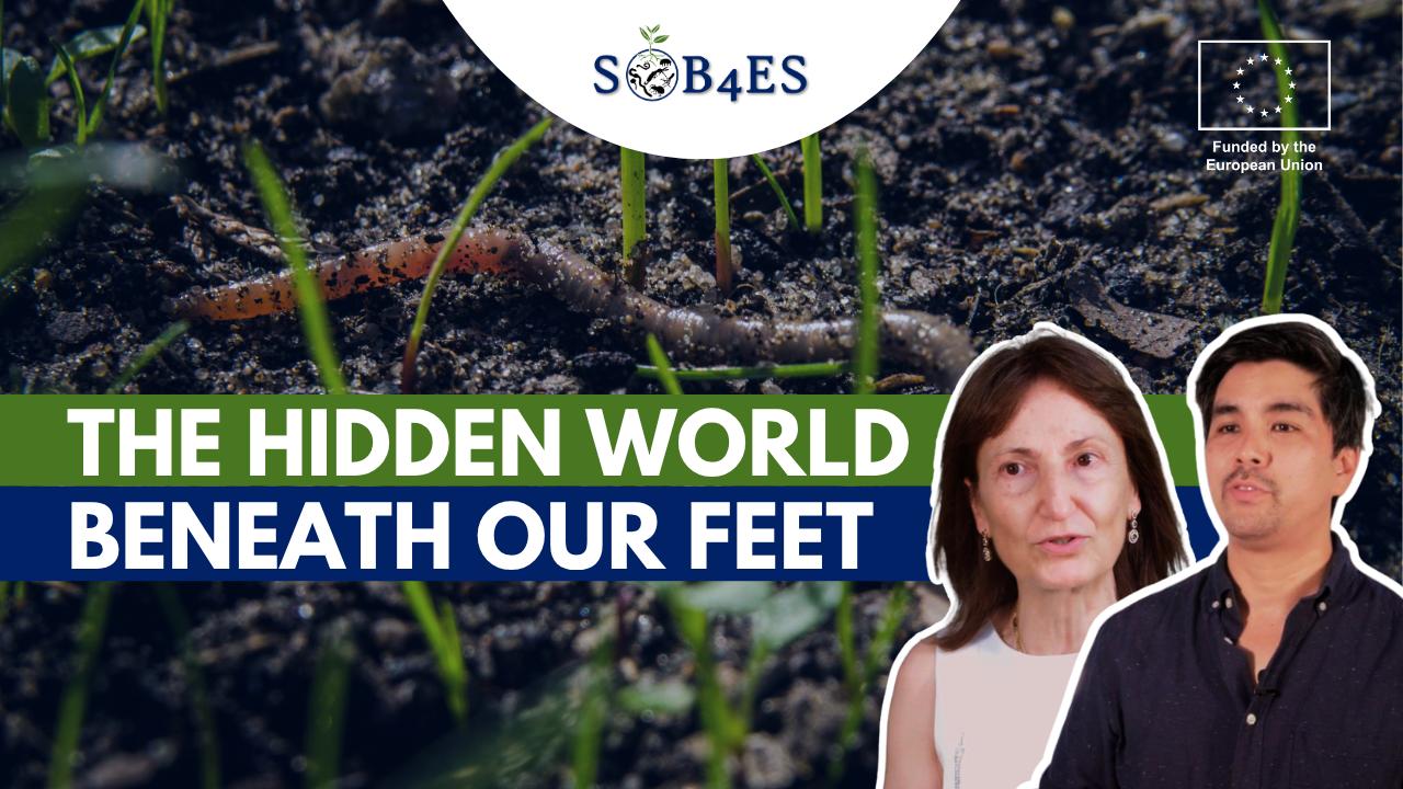 Understanding Soil Biodiversity and Making It Visible to Society: SOB4ES Releases Project Video